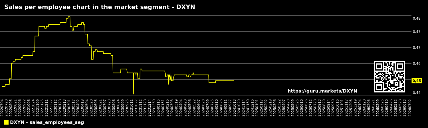 Sales per employee chart in the market segment - DXYN